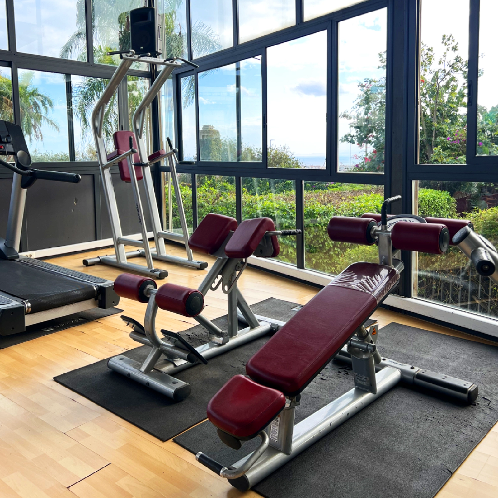 Palestra